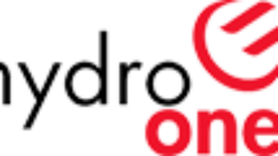 ONtario Hydro Energizing life community grant