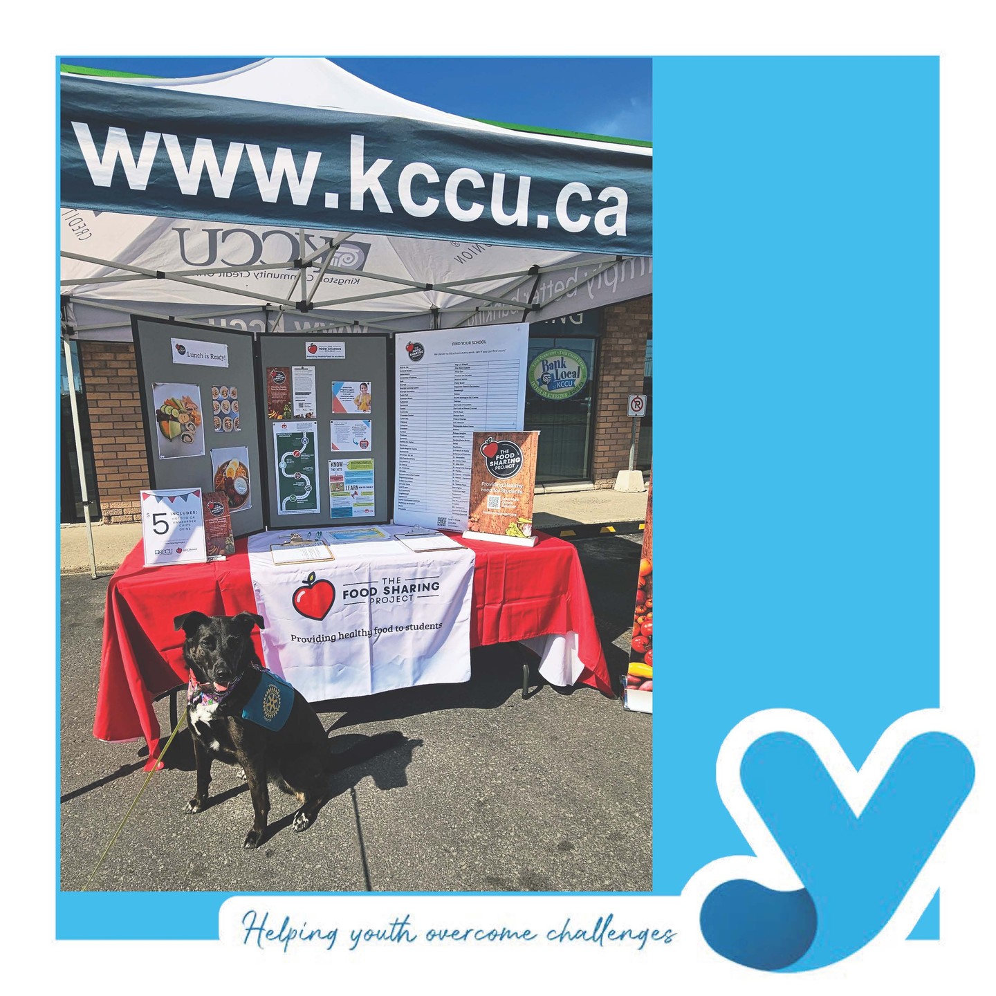 On her lunch break, Zoe stopped by @kingstoncommunitycu's BBQ in support of the @foodsharingproject
She smiled for pictures but left disappointed that no burgers or hot dogs came her way. Thanks KCCU for supporting the fabric of our community! #YGK #foodshare #locallove